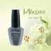TOP COAT NON WIPE (ΤΟΠ) 15ML MIXCOCO